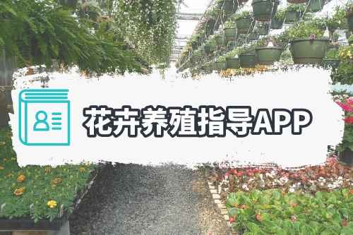 花卉養殖指導APP涵蓋哪些功能(圖1) 花卉養殖指導APP涵蓋哪些功能(圖1)