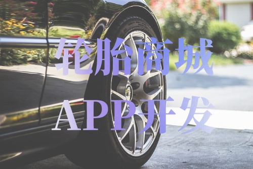 德州輪胎商城APP開(kāi)發(fā)功能介紹(圖1) 德州輪胎商城APP開(kāi)發(fā)功能介紹(圖1)