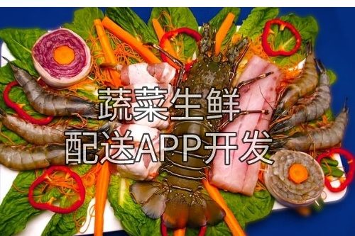 德州蔬菜生鮮配送APP開發(fā)所需的功能及費用介紹(圖2) 德州蔬菜生鮮配送APP開發(fā)所需的功能及費用介紹(圖2)