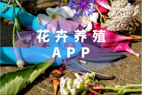 花卉養殖APP有什么功能(圖1) 花卉養殖APP有什么功能(圖1)