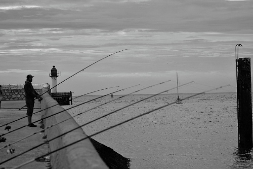 釣魚(yú)app開(kāi)發(fā)有哪些功能(圖1) 釣魚(yú)app開(kāi)發(fā)有哪些功能(圖1)