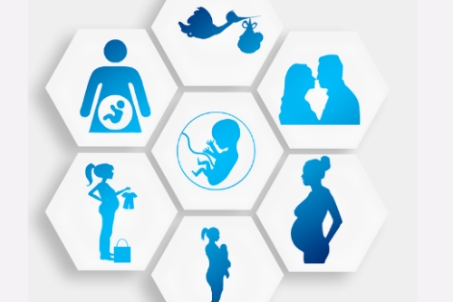 孕期指導(dǎo)app開(kāi)發(fā)的功能包括什么(圖1) 孕期指導(dǎo)app開(kāi)發(fā)的功能包括什么(圖1)