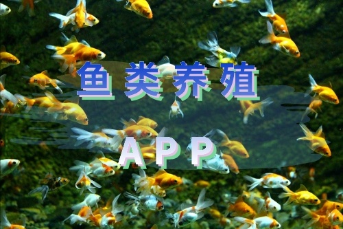 如何開發(fā)一款魚類養(yǎng)殖APP 軟件(圖1) 如何開發(fā)一款魚類養(yǎng)殖APP 軟件(圖1)
