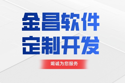 金昌軟件定制開發前需要準備什么
