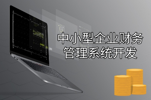 中小型企業(yè)財(cái)務(wù)管理系統(tǒng)開(kāi)發(fā)設(shè)計(jì)思路