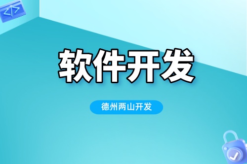 德州軟件公司拒接二次開發原因